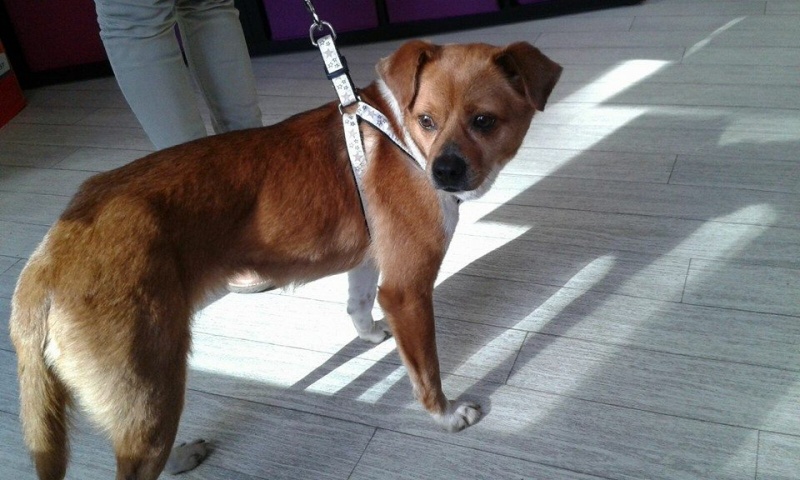 Foto Duna