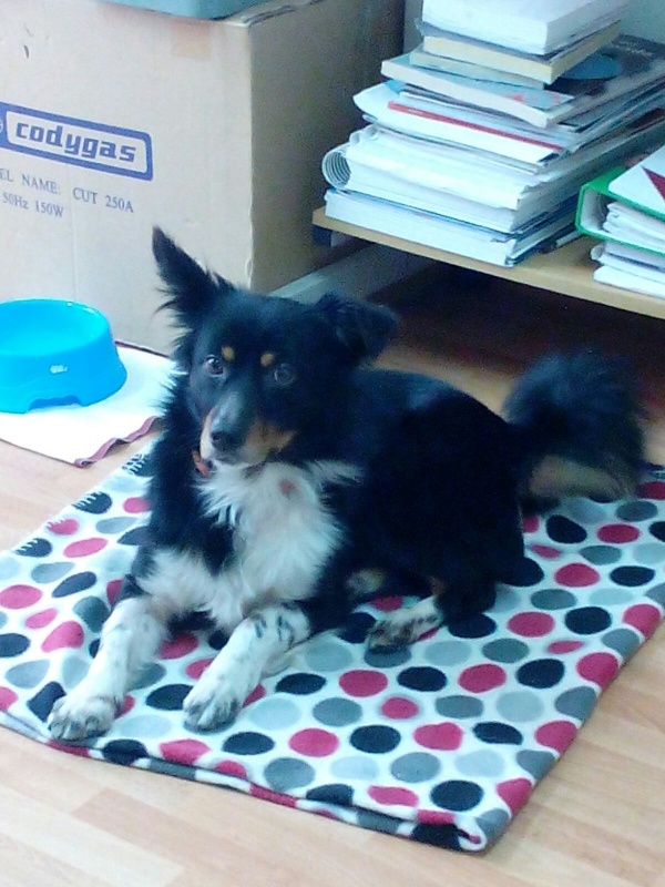 Foto Lucas