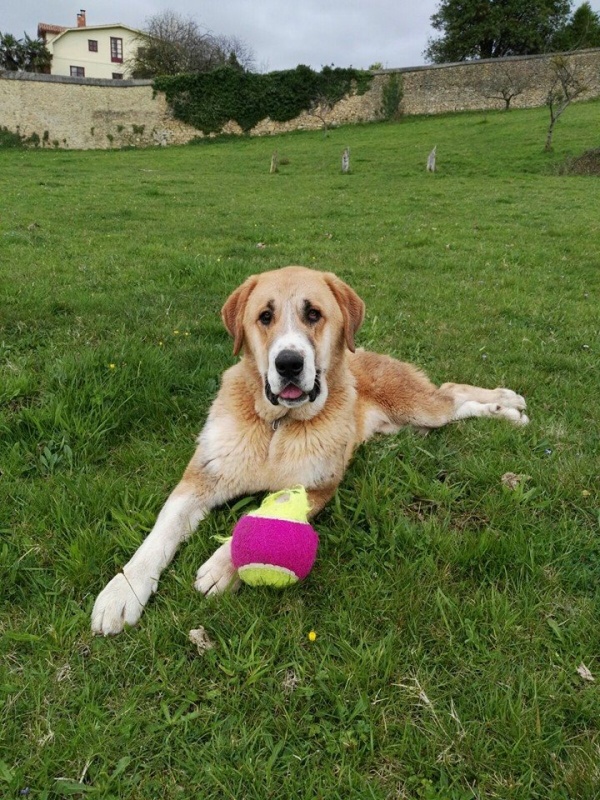 Foto León