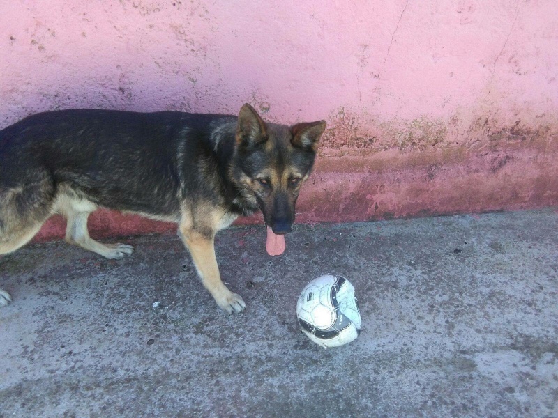 Foto Rem