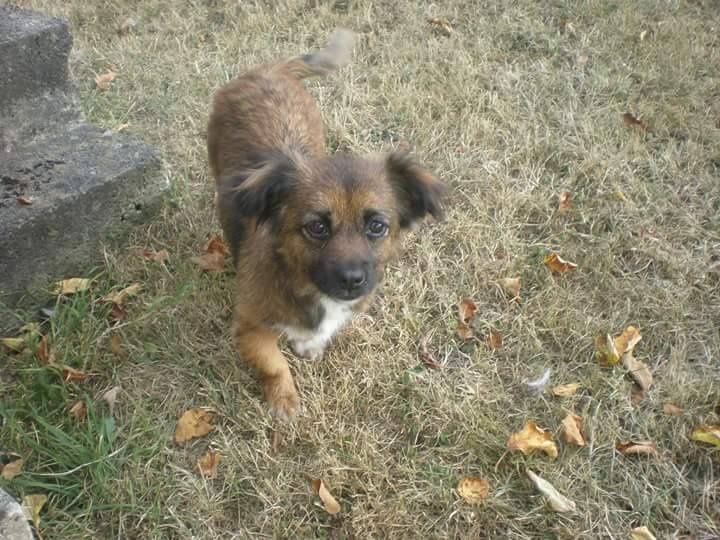Foto Mila