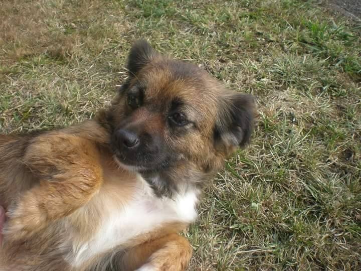 Foto Mila
