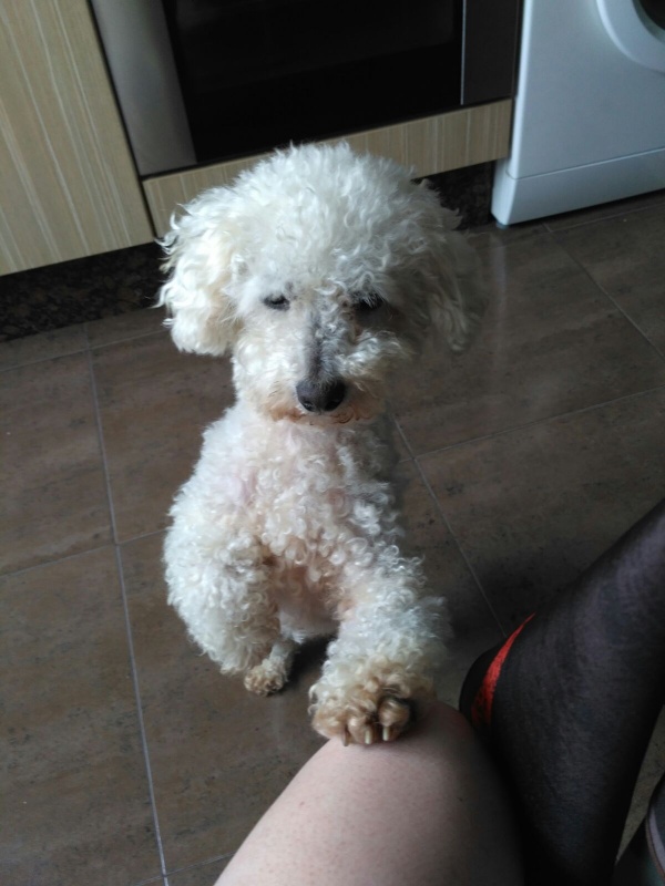 Foto Lucky