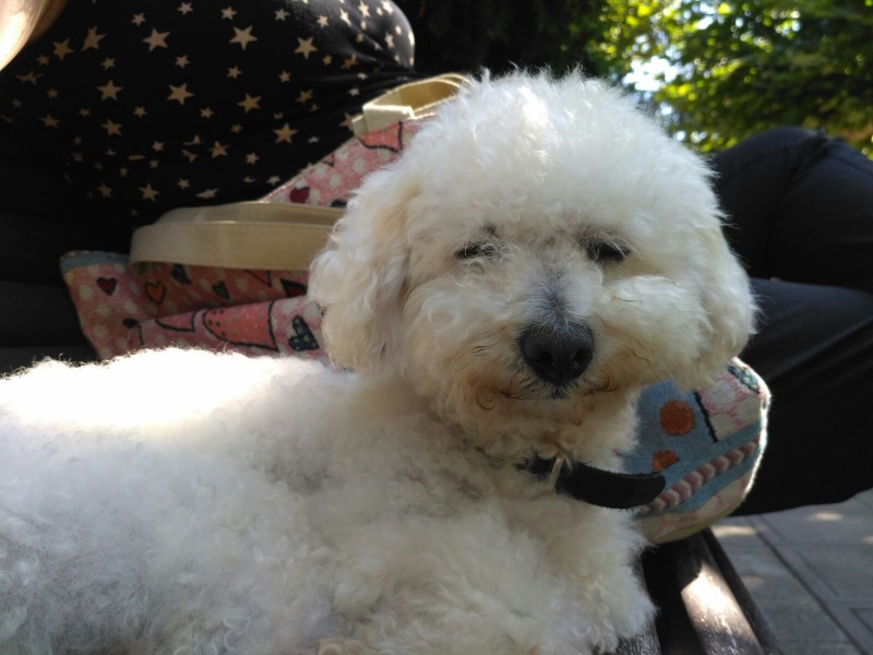 Foto Lucky