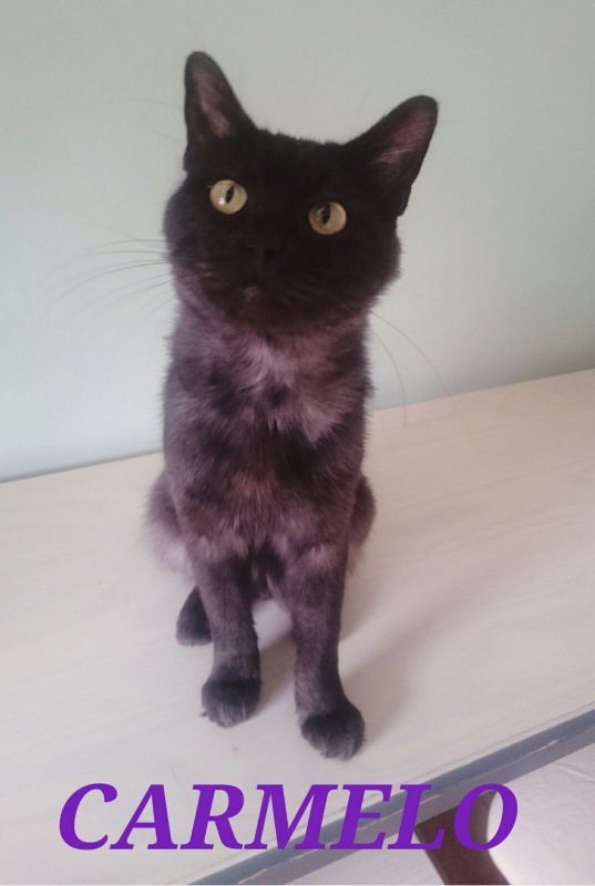Foto Carmelo