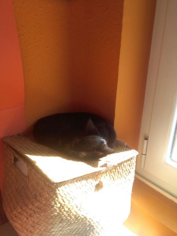 Foto Marifé