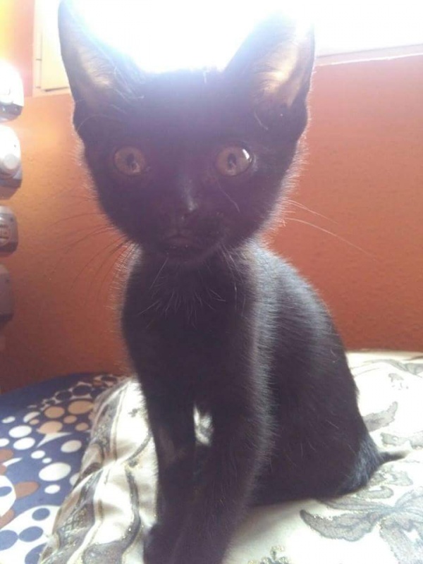 Foto Marifé