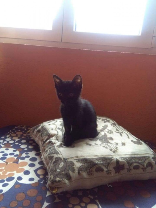 Foto Marifé