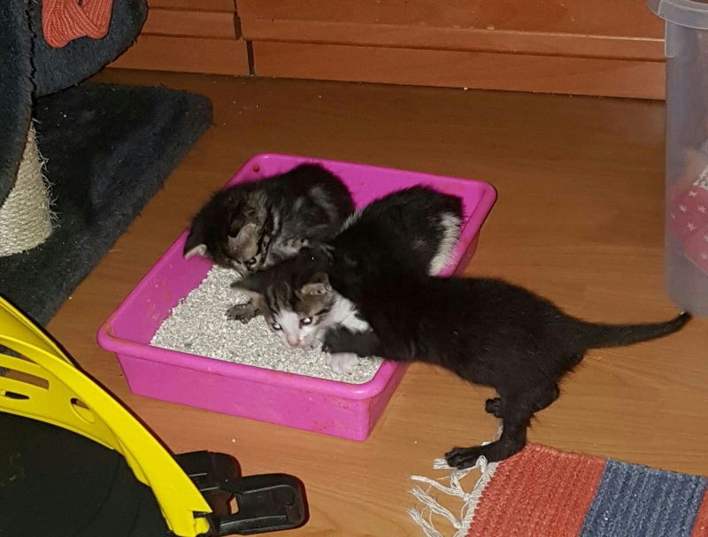 Foto Burbuja