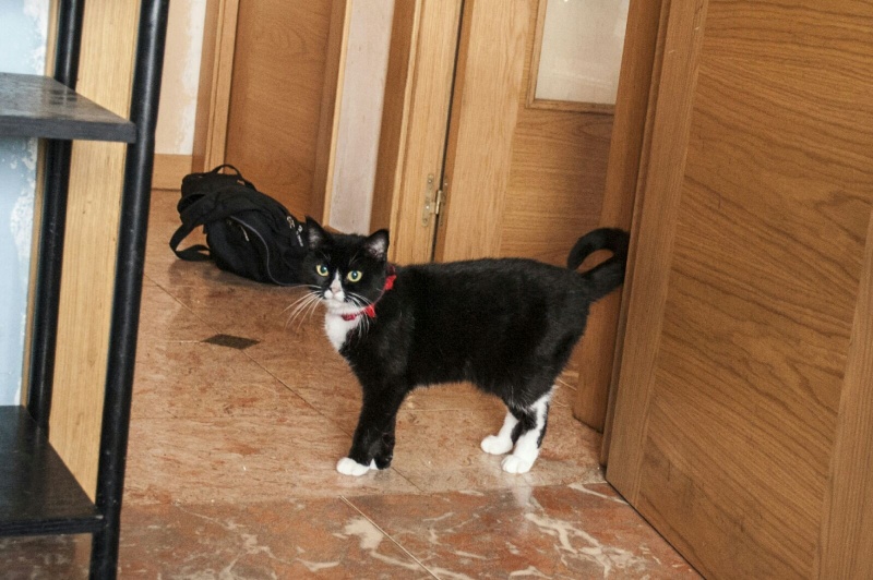 Foto Perla