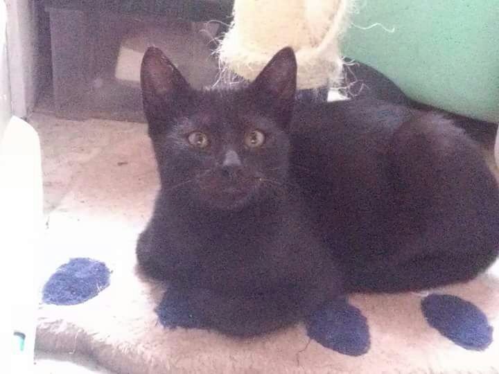 Foto Ismael