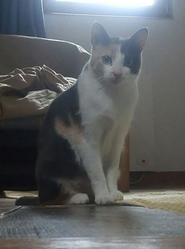 Foto Ofelia