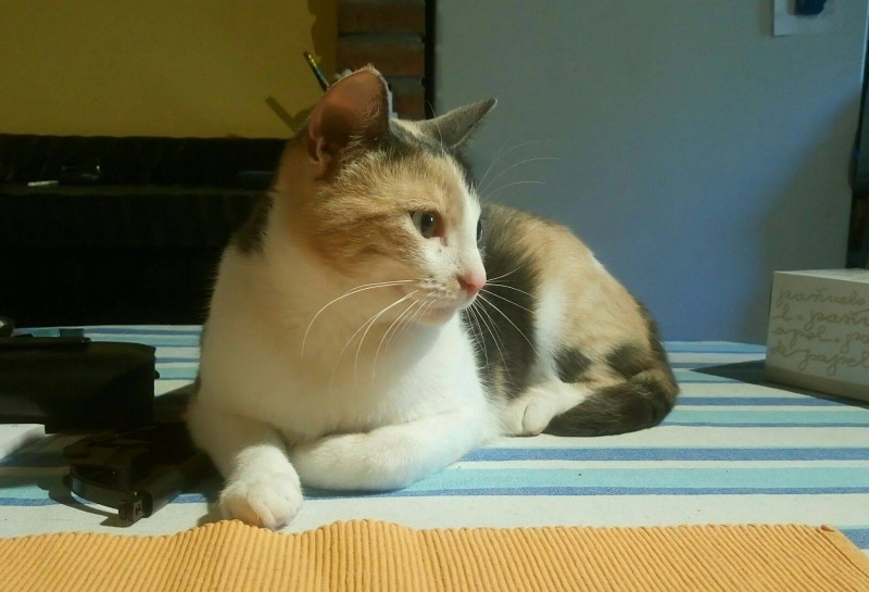 Foto Ofelia
