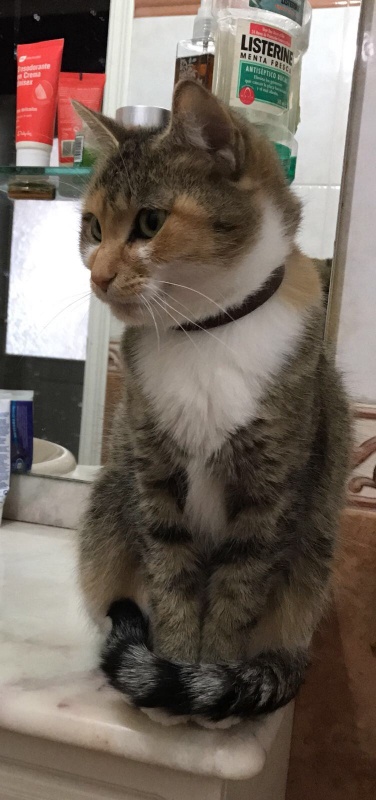 Foto Nimu