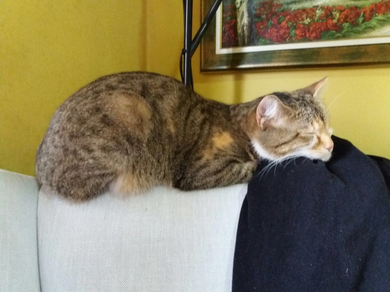 Foto Nimu