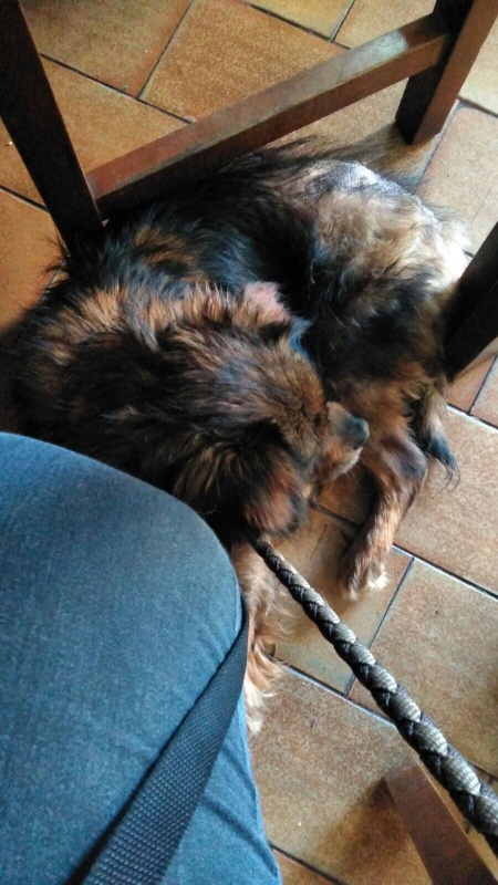 Foto Zoe