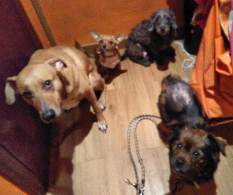 Foto Zoe