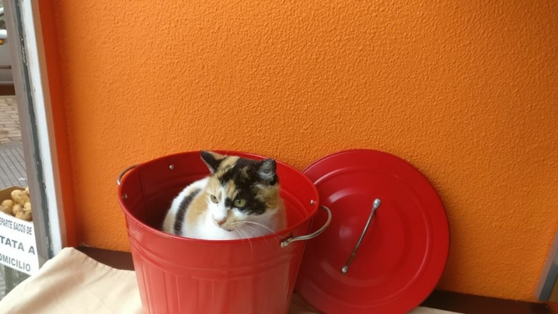 Foto Charo
