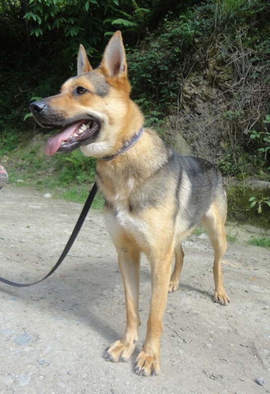 Foto Lobito