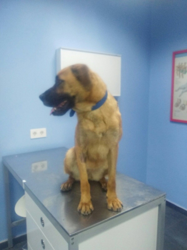 Foto Moira