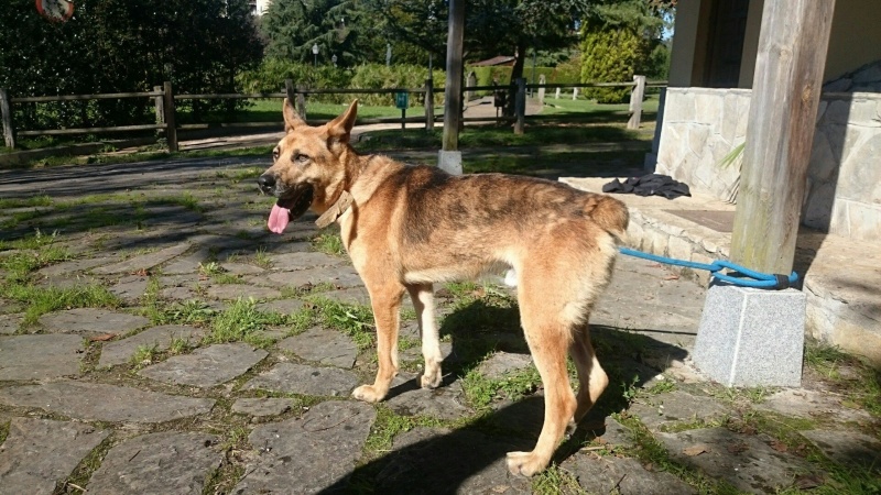 Foto Nogal