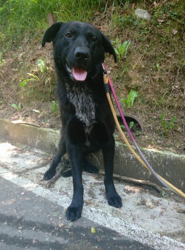Foto Pedroso