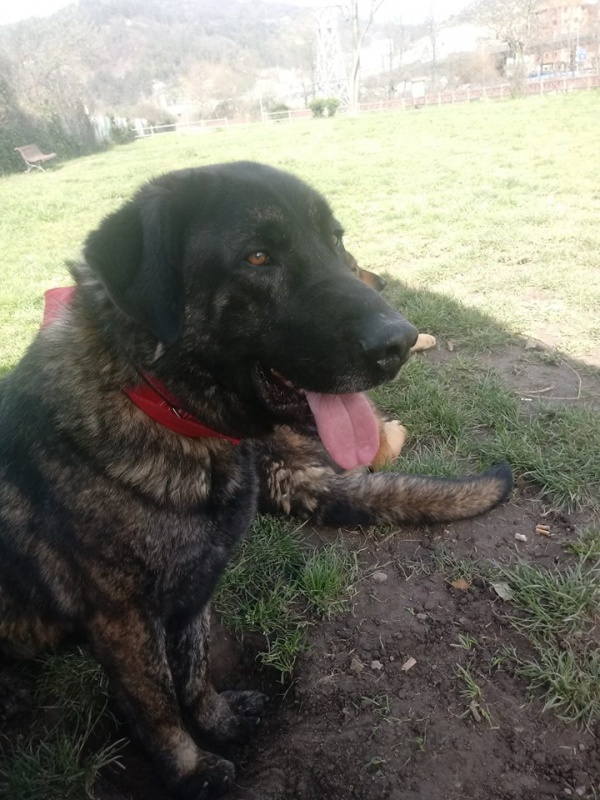 Foto Reno