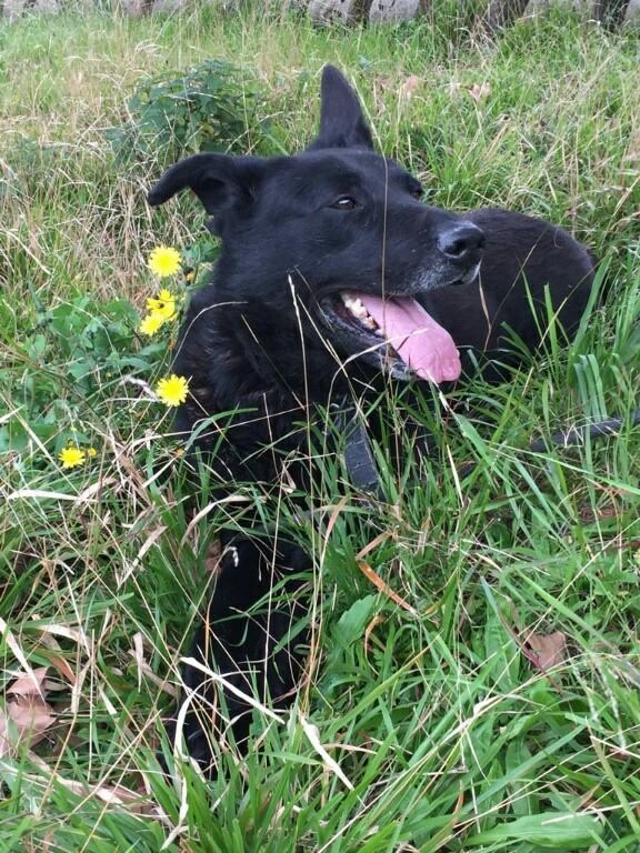 Foto Denzel