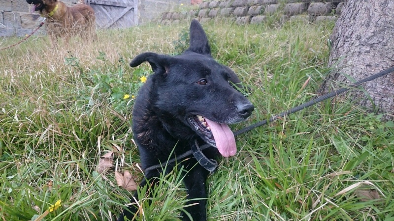 Foto Denzel