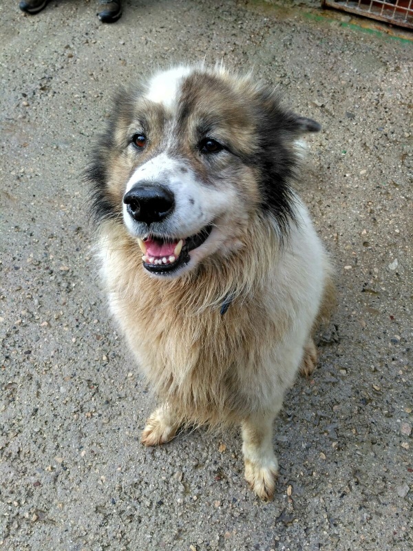 Foto  Zalo