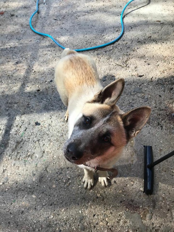 Foto Darwin