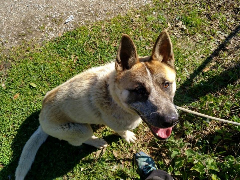 Foto Darwin