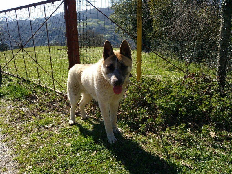 Foto Darwin