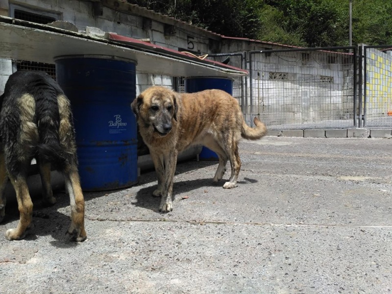 Foto  Susi