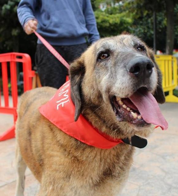 Foto  Susi