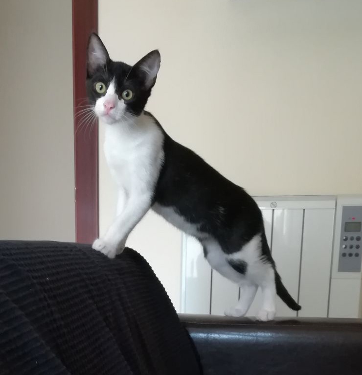 Foto Ricardo