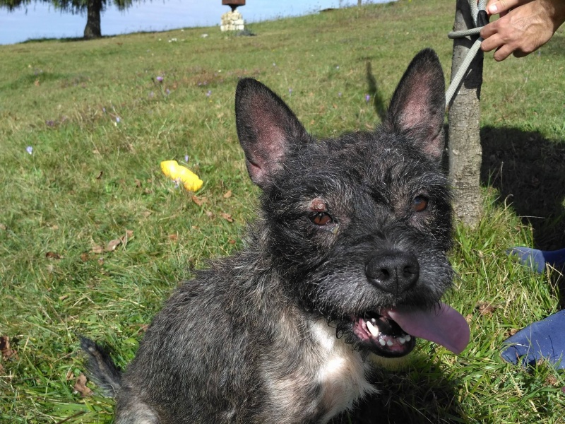 Foto Maggie