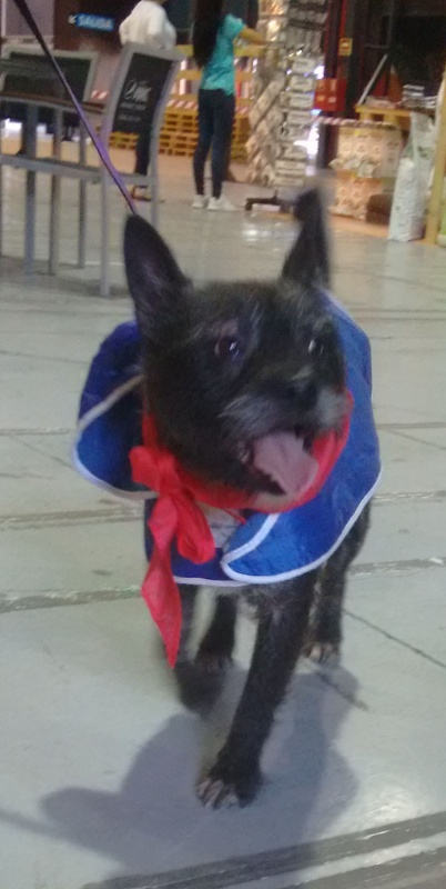 Foto Maggie