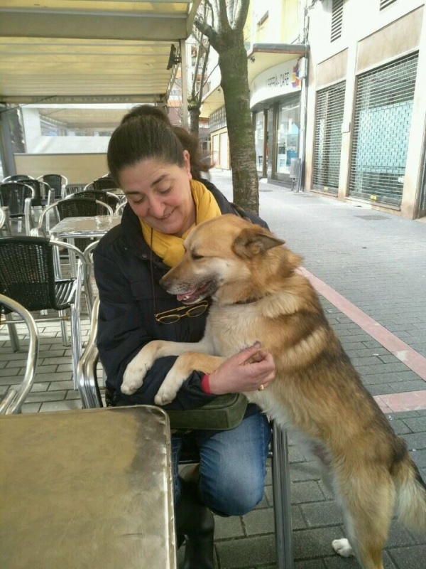 Foto  Gordon
