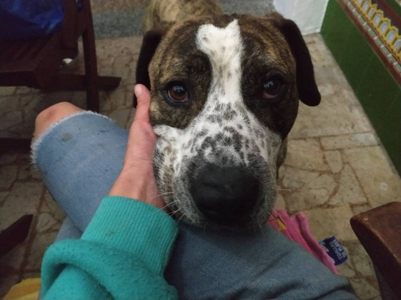 Foto  Alpha
