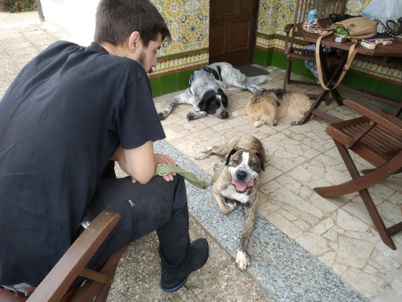 Foto  Alpha