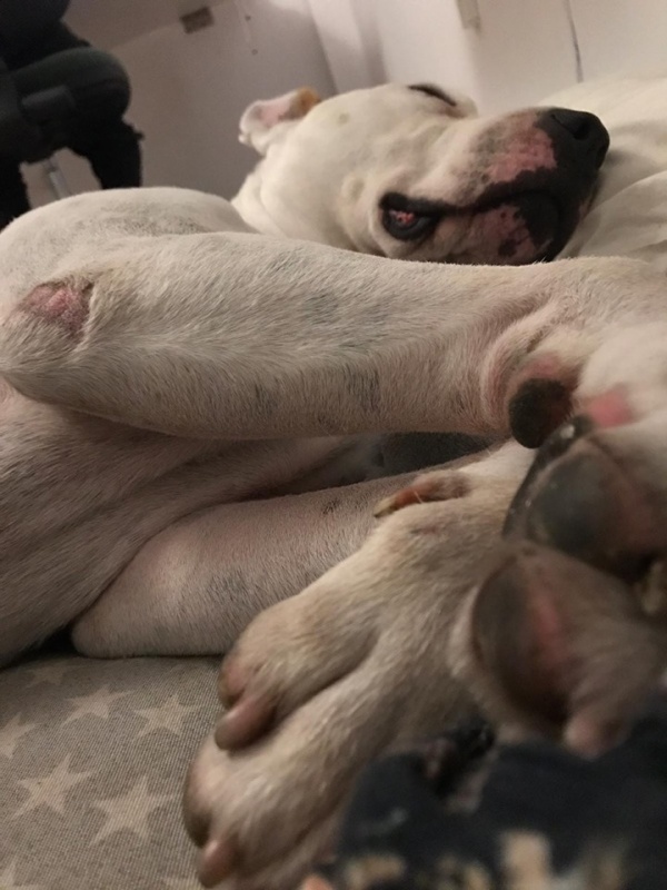 Foto Quesito