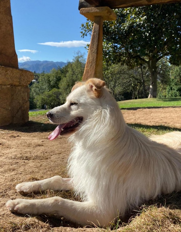 Foto Kiko