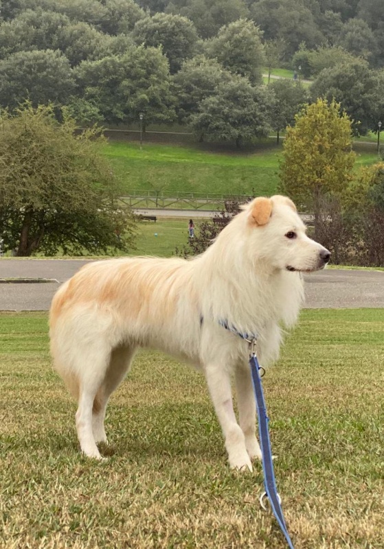 Foto Kiko