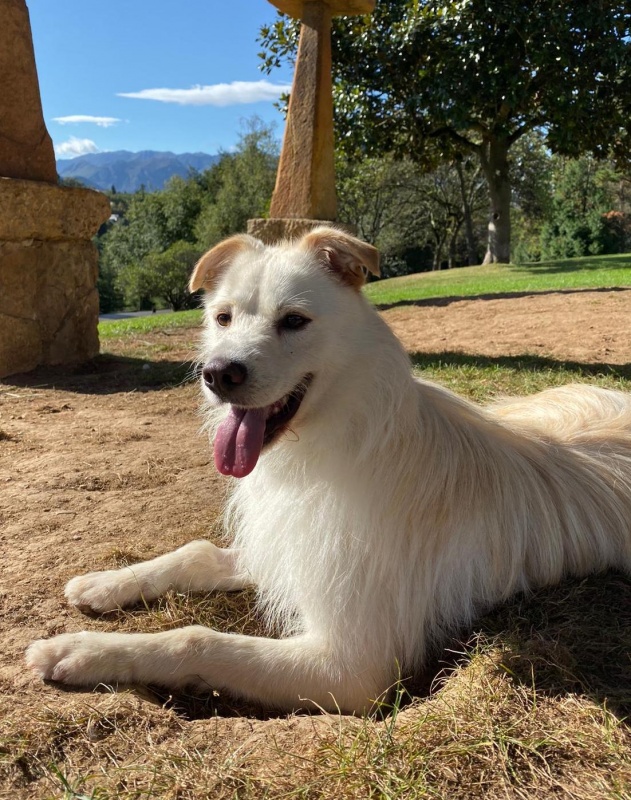 Foto Kiko