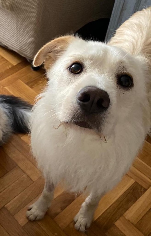 Foto Kiko
