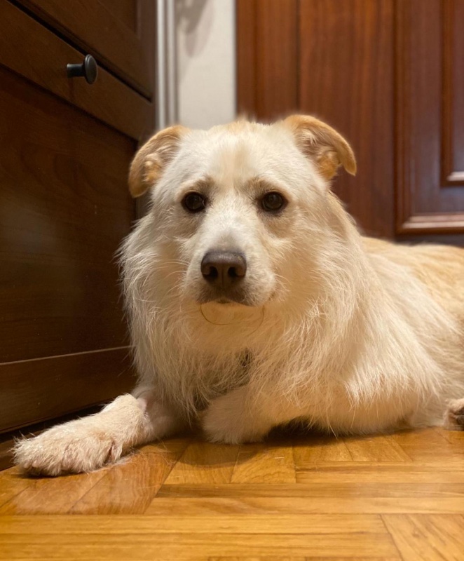 Foto Kiko