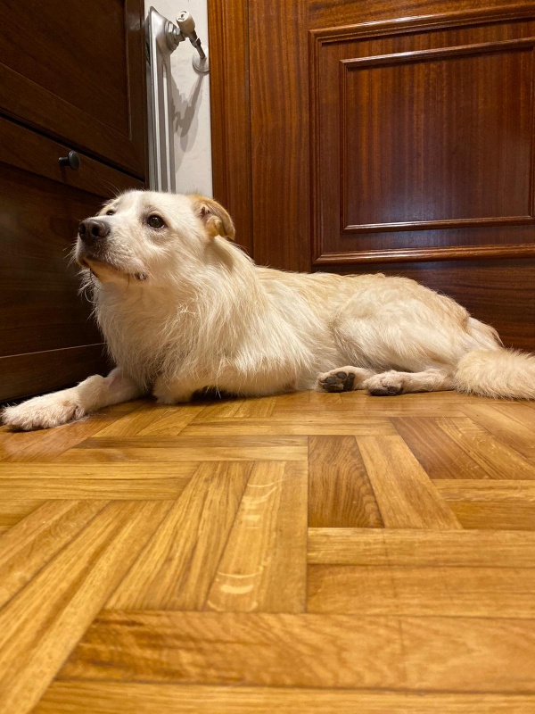 Foto Kiko