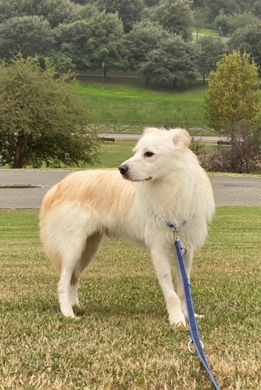 Foto Kiko