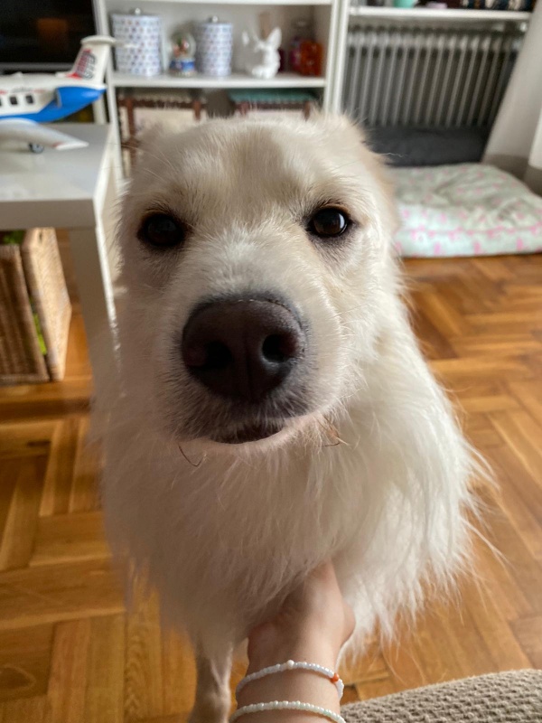 Foto Kiko